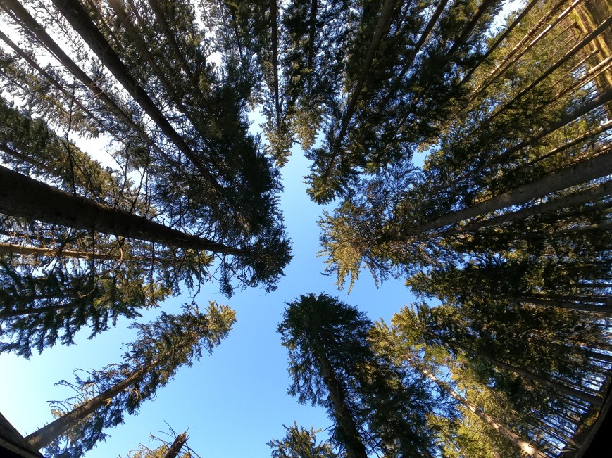 Sysmän retkikohteista