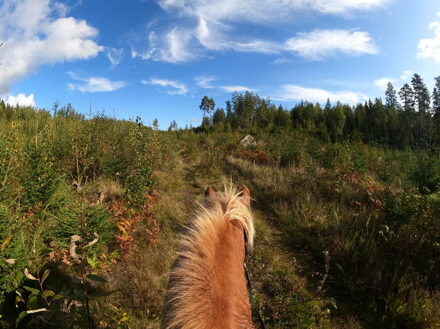 Siirtoratsastusvaellus Syksy 2023